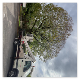 FM Élagage à Barbezieux-Saint-Hilaire